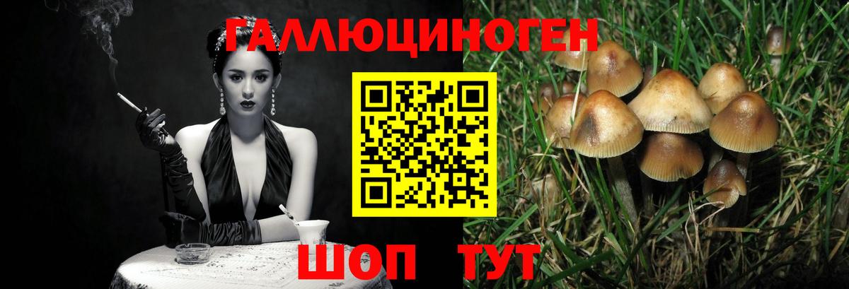 Псилоцибиновые грибы Magic Shrooms  Псилоцибиновые грибы Psilocybe  Нефтекумск  Вход с VPN 